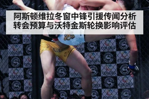 阿斯顿维拉冬窗中锋引援传闻分析 转会预算与沃特金斯轮换影响评估
