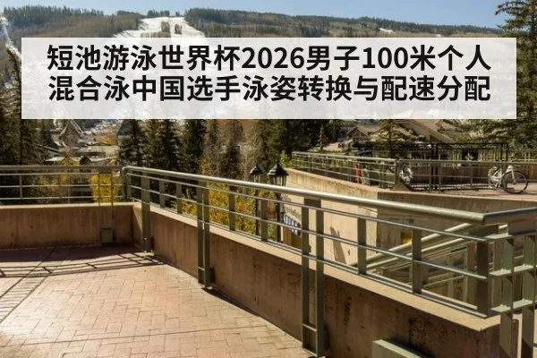 短池游泳世界杯2026男子100米个人混合泳中国选手泳姿转换与配速分配
